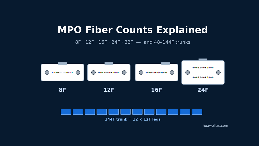 MPO ferrule faces showing 8, 12, 16 and 24 fiber positions next to a 144-fiber trunk built from twelve 12-fiber legs
