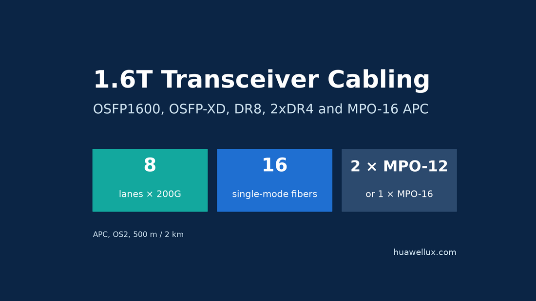 1.6T transceiver cabling