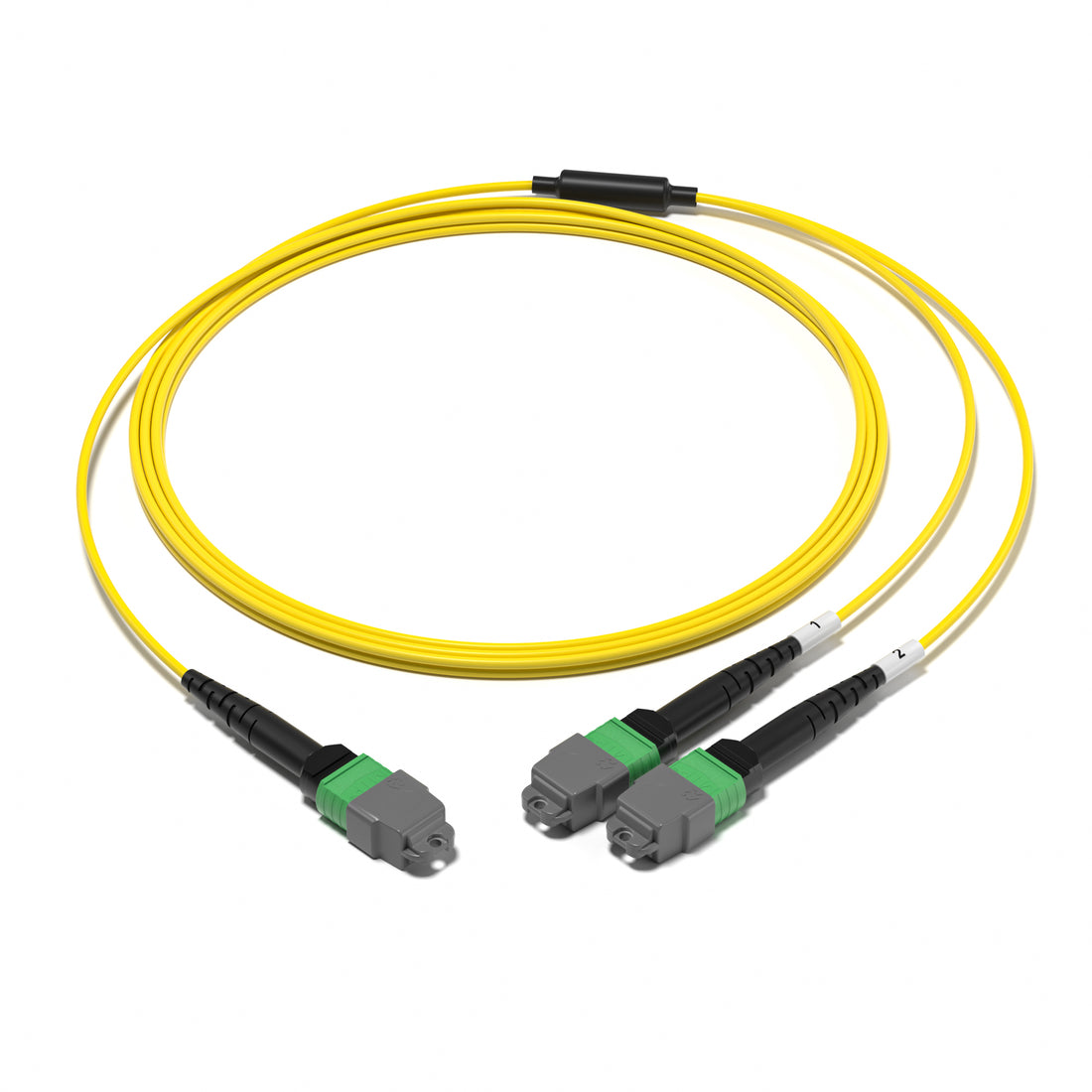 Huawellux MTP-12 to 2 x MTP-4 8F OS2 Harness Cable for high-density MTP branch routing