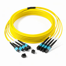 Huawellux MPO-12 48F OS2 Trunk Cable for rack-to-rack and backbone fiber links