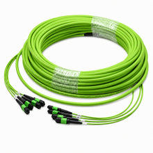 MPO-12 48F OM5 Trunk Cable