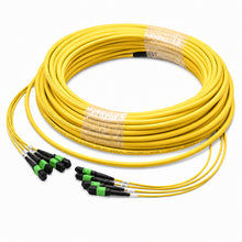 MPO-12 48F OS2 G.657.A2 Trunk Cable