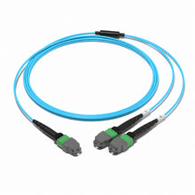 Huawellux MTP-12 to 2 x MTP-4 8F OM4 Harness Cable for high-density MTP branch routing