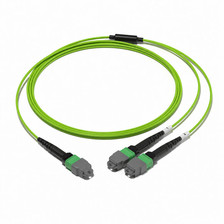 MTP-12 to 2 x MTP-4 8F OM5 Harness Cable