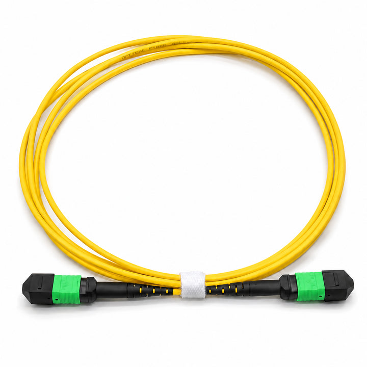 MPO Fiber Patch Cables | HUAWELLUX
