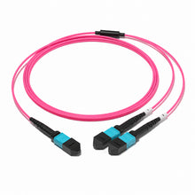 MPO-12 to 2 x MPO-4 8F OM4 Harness Cable