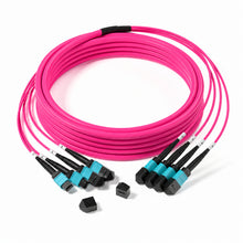 MPO-12 48F OM4 Trunk Cable