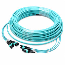 MPO-12 48F OM4 Trunk Cable