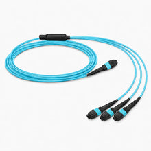 Huawellux MPO-12 to 3 x MPO-4 12F OM4 Harness Cable product image 02