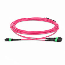 Huawellux MTP-12 to 2 x MTP-4 8F OM4 Harness Cable product image 01