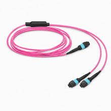 Huawellux MTP-12 to 2 x MTP-4 8F OM4 Harness Cable product image 02