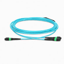 Huawellux MTP-12 to 2 x MTP-4 8F OM4 Harness Cable product image 03