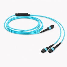 Huawellux MTP-12 to 2 x MTP-4 8F OM4 Harness Cable product image 04