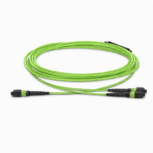 Huawellux MTP-12 to 2 x MTP-4 8F OM5 Harness Cable product image 01