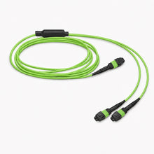 Huawellux MTP-12 to 2 x MTP-4 8F OM5 Harness Cable product image 02