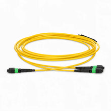 Huawellux MTP-12 to 2 x MTP-4 8F OS2 G.657.A2 Harness Cable product image 01