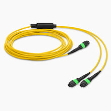 Huawellux MTP-12 to 2 x MTP-4 8F OS2 G.657.A2 Harness Cable product image 02