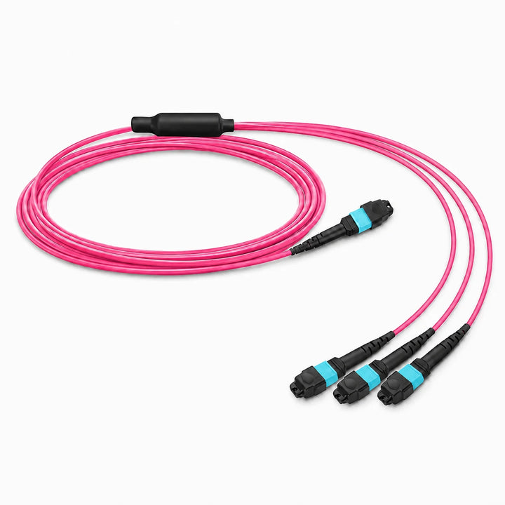MTP-12 to 3 x MTP-4 12F OM4 Harness Cable