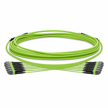 HUAWELLUX MTP 144F OM5 Trunk Cable fiber optic cable - complete cable overview with connectors for high-density data center fiber trunk cabling
