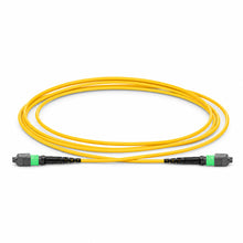 Huawellux OS2 MPO/MTP fiber patch cable complete cable overview for data center patch cabling