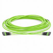 HUAWELLUX MTP 48F OM5 Trunk Cable fiber optic cable - complete cable overview with connectors for high-density data center fiber trunk cabling