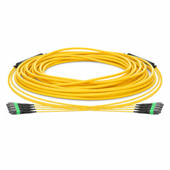 HUAWELLUX MTP 48F OS2 Trunk Cable fiber optic cable - complete cable overview with connectors for high-density data center fiber trunk cabling